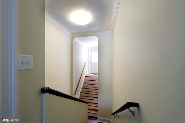 stairway featuring ornamental molding