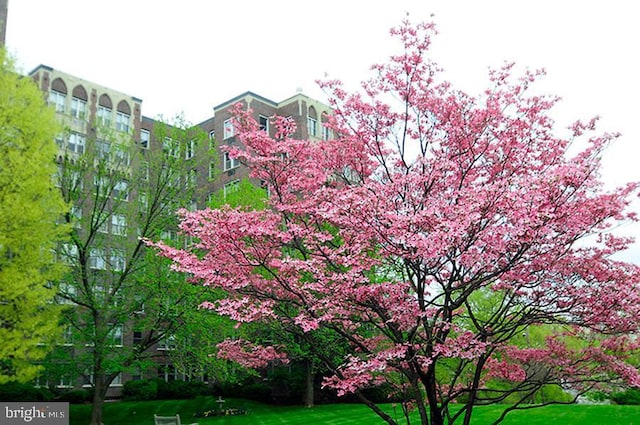 surrounding community with a lawn