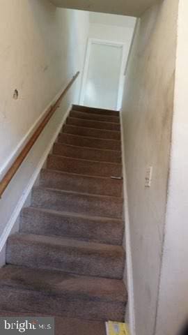 staircase with hardwood / wood-style floors