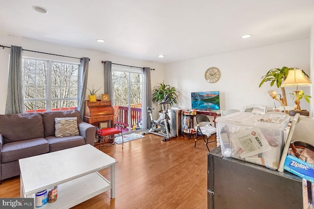 living room featuring light hardwood / wood-style flooring