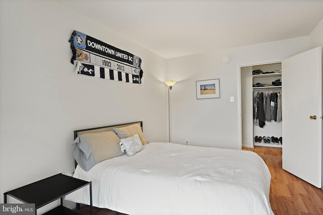 bedroom featuring wood-type flooring and a closet