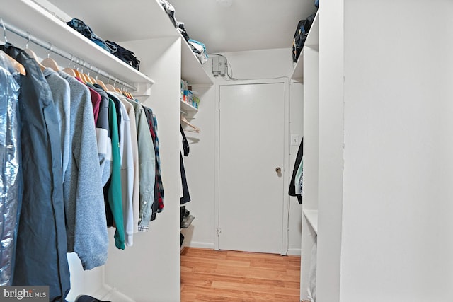 spacious closet featuring light hardwood / wood-style flooring