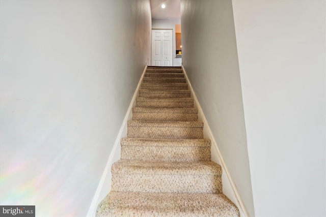 stairway featuring carpet floors