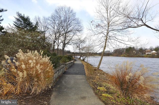 property view of water