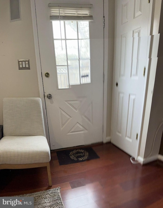 doorway featuring wood-type flooring