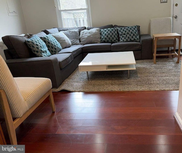 living room with dark hardwood / wood-style floors