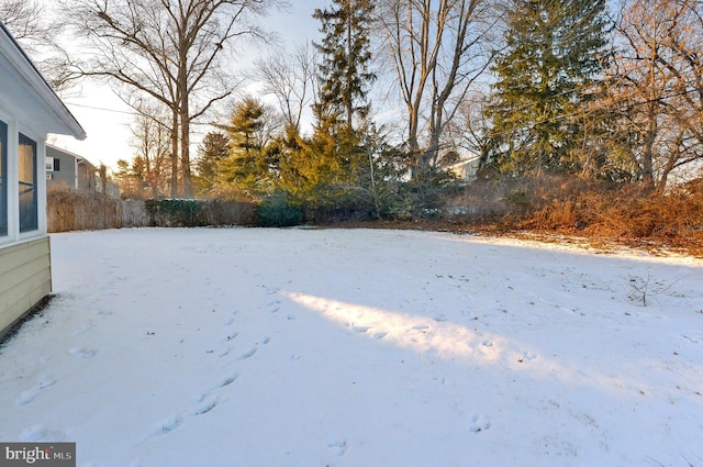 view of snowy yard