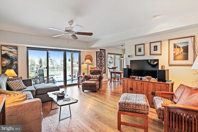 living room featuring ceiling fan and light hardwood / wood-style flooring