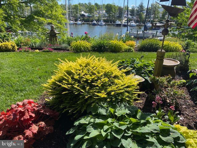 view of yard with a water view