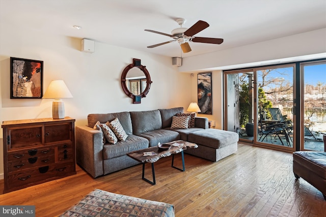 living room with ceiling fan and light hardwood / wood-style flooring