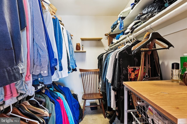 spacious closet with carpet