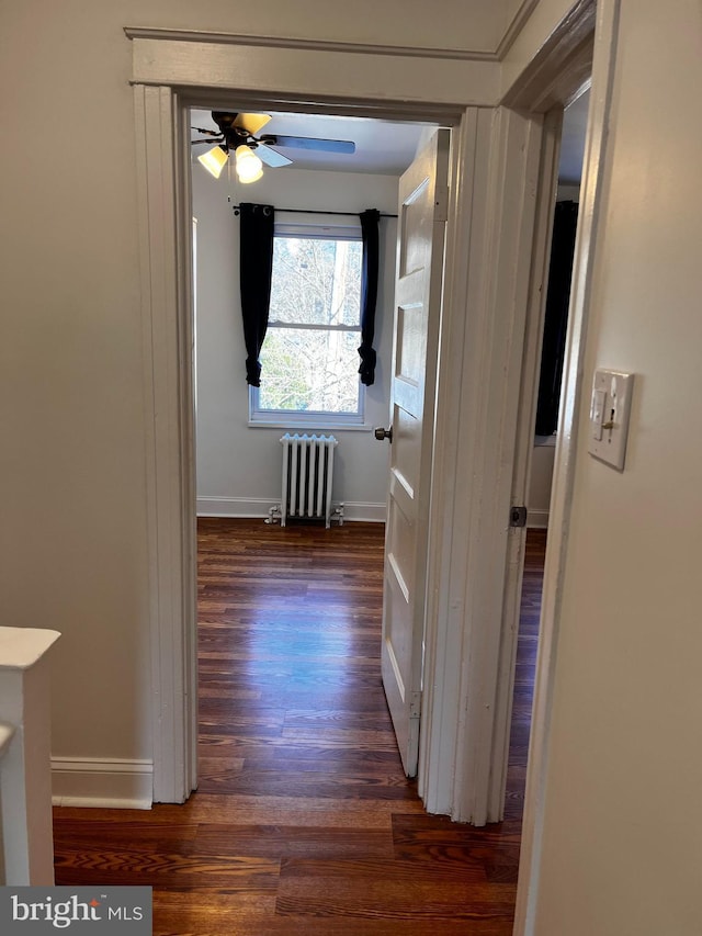 corridor with radiator heating unit and dark hardwood / wood-style floors