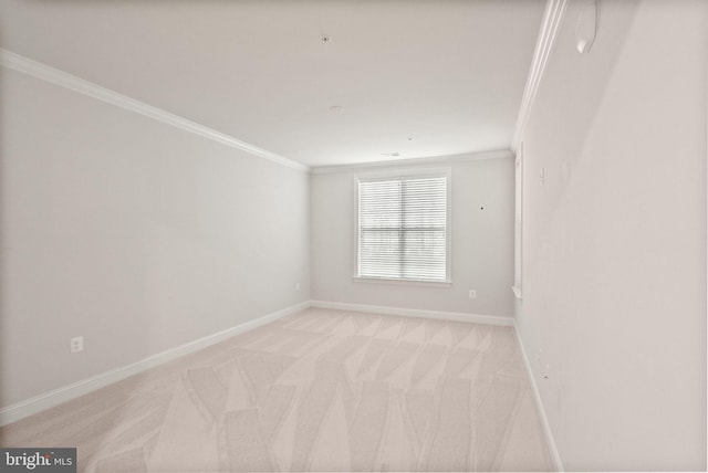 carpeted spare room featuring crown molding