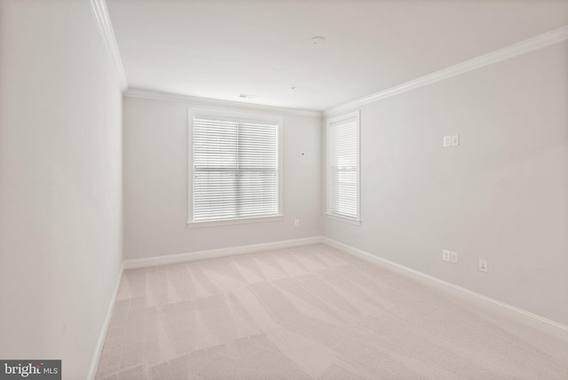 carpeted empty room featuring crown molding