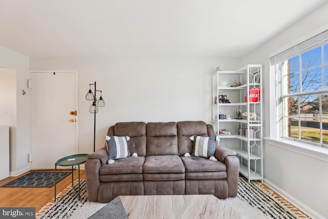 living room with wood-type flooring