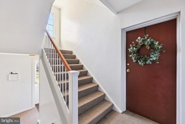 stairs featuring carpet flooring