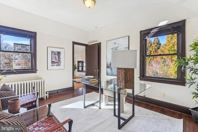 office with hardwood / wood-style flooring and radiator