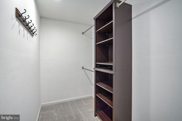 spacious closet featuring light carpet