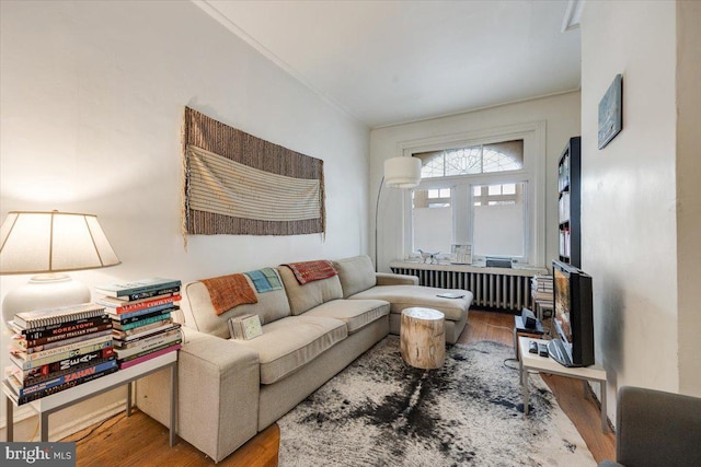 living room with radiator heating unit and light hardwood / wood-style floors