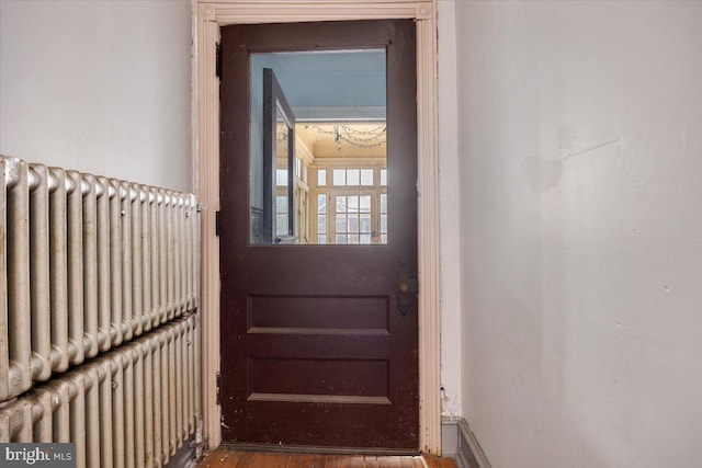 entryway featuring dark wood-type flooring and radiator heating unit