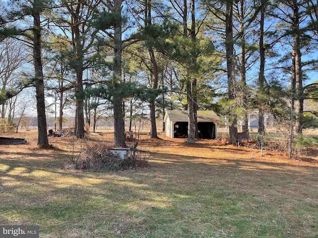 view of yard with a shed and an outbuilding