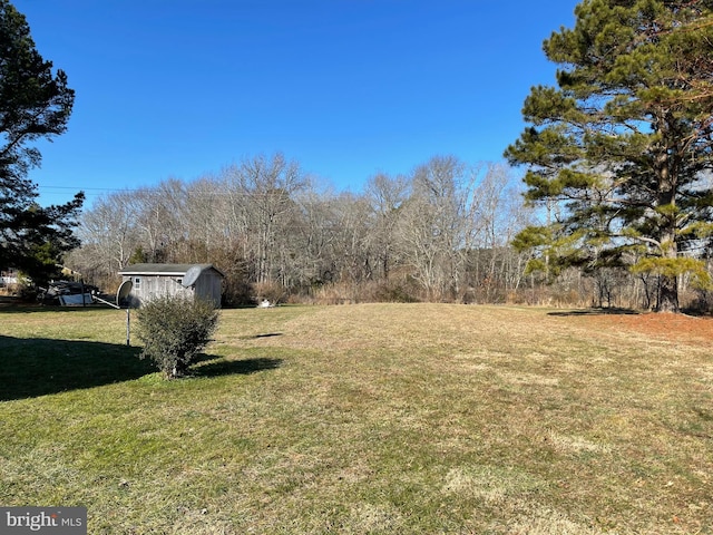 view of yard with an outbuilding and a storage unit