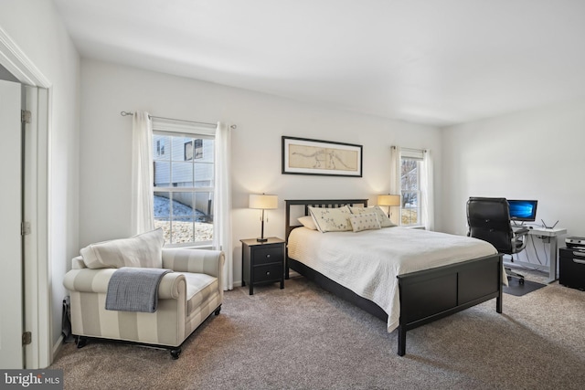 bedroom featuring carpet