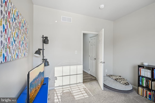 playroom with carpet floors