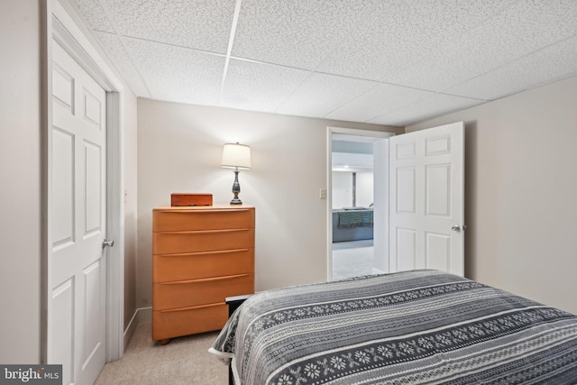 bedroom featuring carpet flooring and a drop ceiling