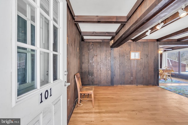 basement featuring light hardwood / wood-style flooring and wood walls