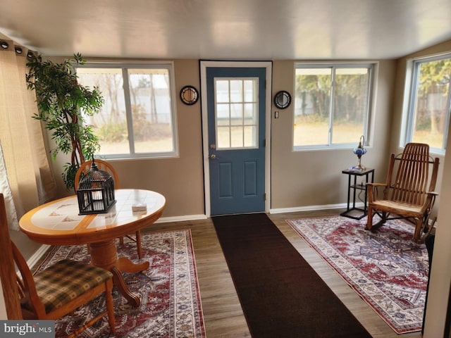 foyer entrance featuring hardwood / wood-style floors