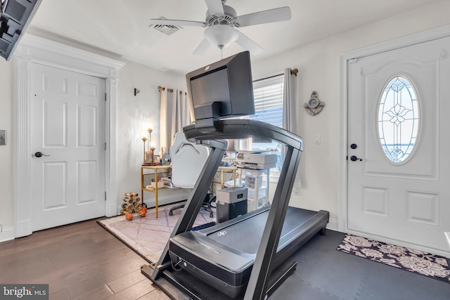 exercise room with ceiling fan and dark hardwood / wood-style floors