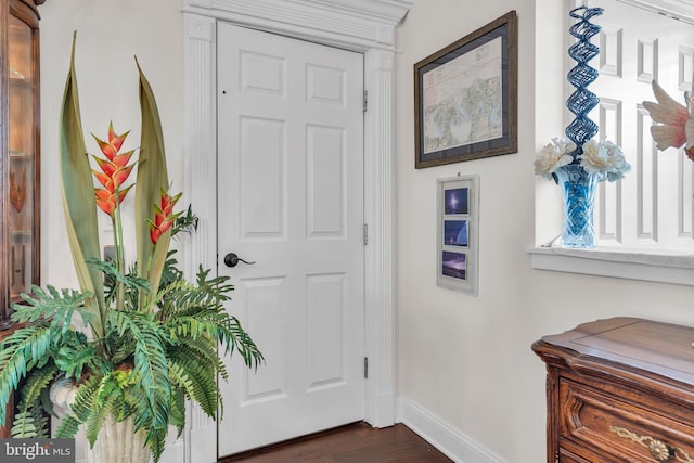 entryway featuring dark wood-type flooring