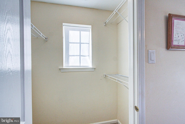 view of spacious closet