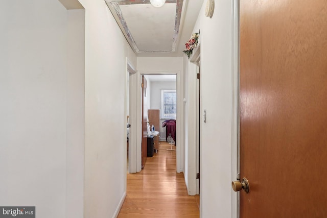 hallway featuring light hardwood / wood-style flooring