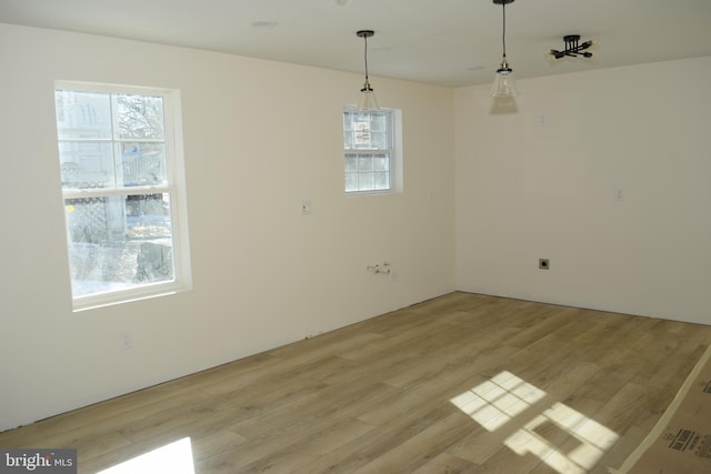 unfurnished dining area with light hardwood / wood-style flooring and a wealth of natural light