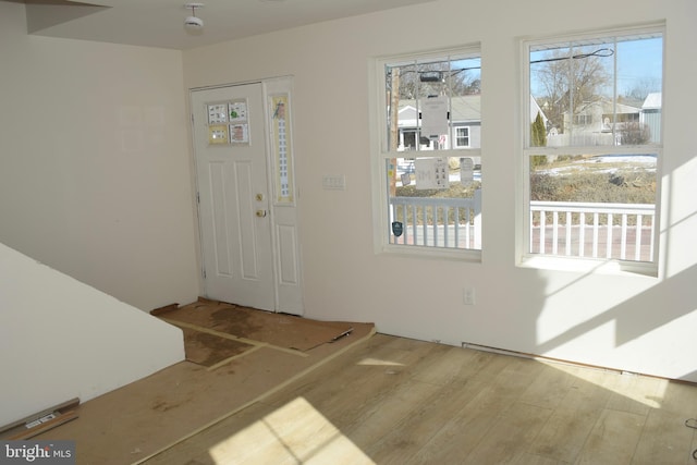 foyer with hardwood / wood-style flooring