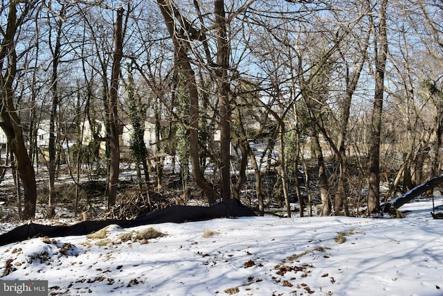 view of snow covered land