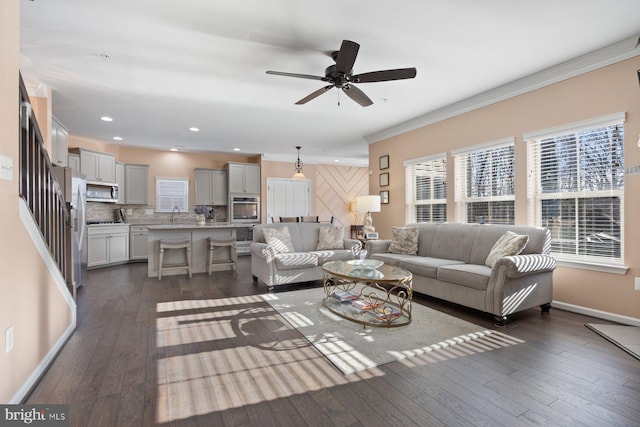 living room featuring dark wood-type flooring, ceiling fan, ornamental molding, and sink