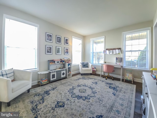 living area featuring hardwood / wood-style floors