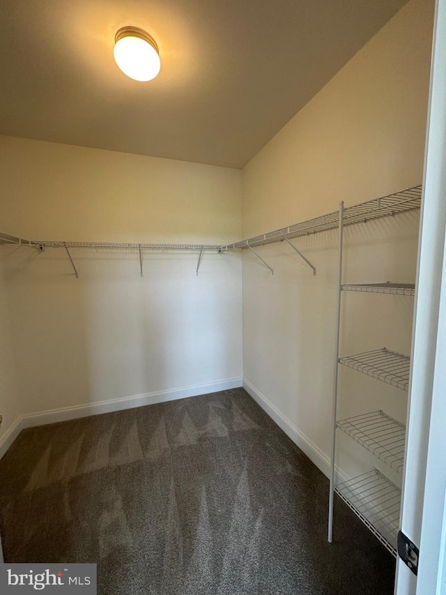 spacious closet with lofted ceiling and dark colored carpet