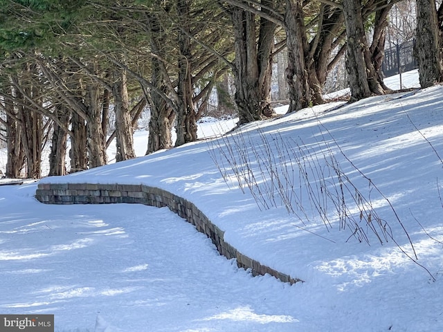 view of snowy yard