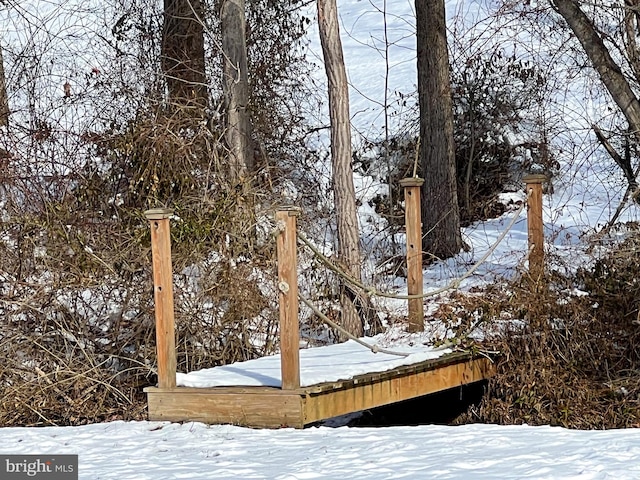 view of yard layered in snow