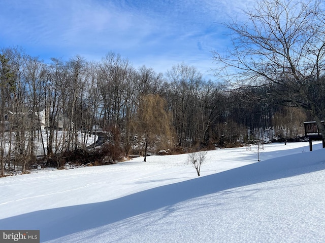 view of yard covered in snow