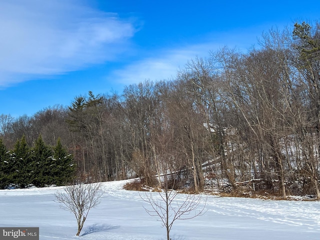 view of snowy yard