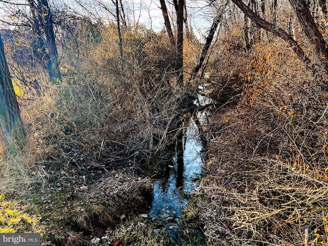 view of nature featuring a forest view