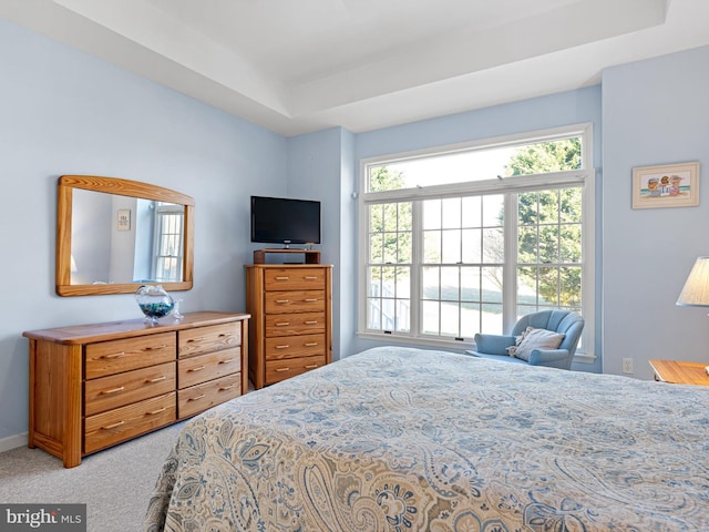 bedroom with a raised ceiling and carpet