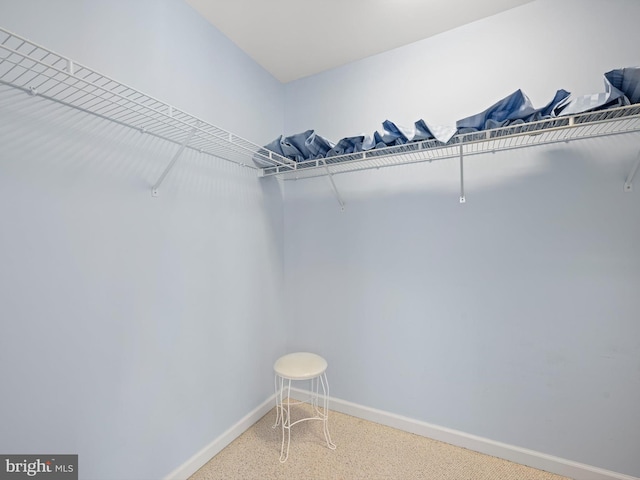 view of walk in closet