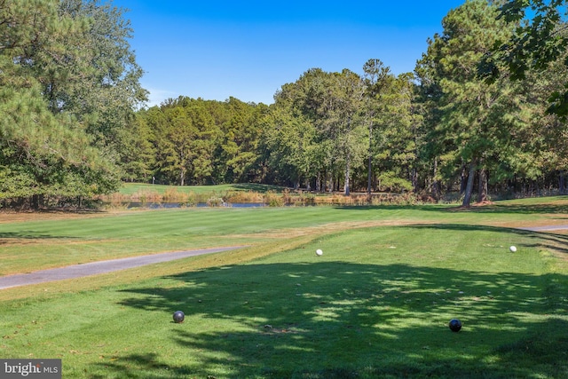 surrounding community featuring a lawn