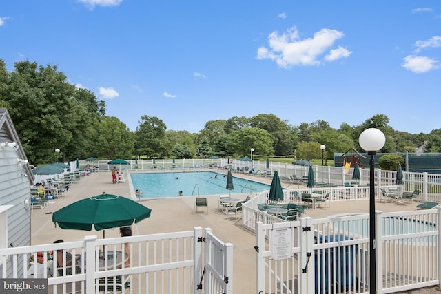 view of pool with a patio